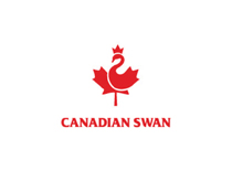 Canadian Swan